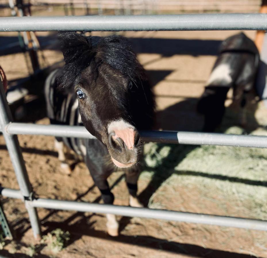 Rustic Farm Temecula